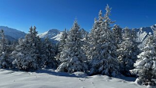 Savolaire - Val de Morgins null