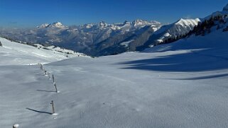 Savolaire - Val de Morgins null