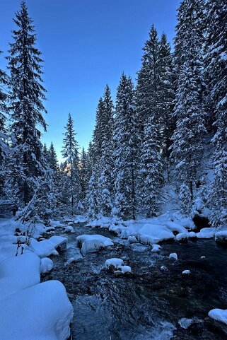 Vièze de Morgins - Val de Morgins null