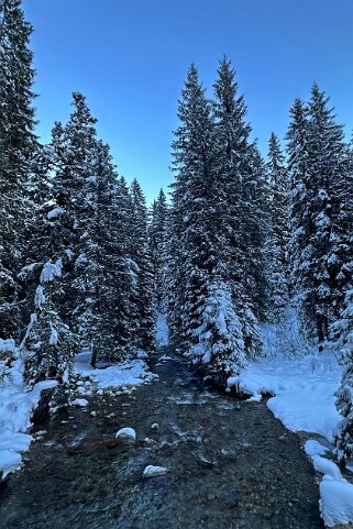 Vièze de Morgins - Val de Morgins null