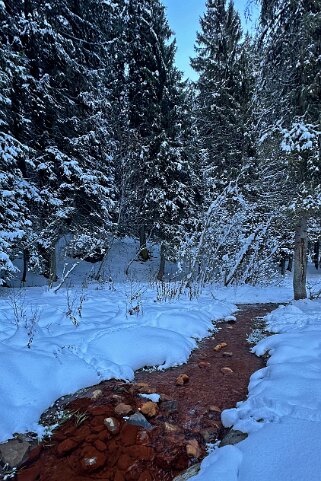 Eau rouge - Vièze de Morgins - Val de Morgins null