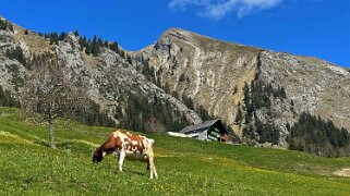 Rossinière - Rougemont, Pays d'Enhaut Rando 2025