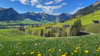 Rossinière - Rougemont, Pays d'Enhaut Rando 2025