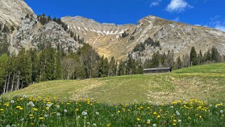 Rossinière - Rougemont, Pays d'Enhaut Rando 2025