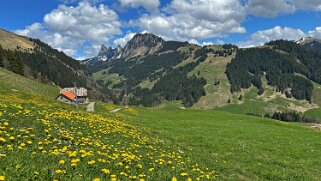 Rossinière - Rougemont, Pays d'Enhaut Rando 2025