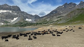 Lac de Salanfe 1908 m Rando 2025