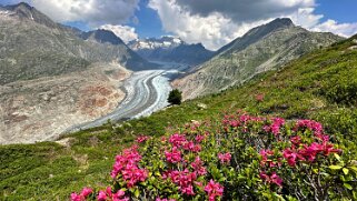 Glacier d'Aletsch null