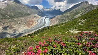 Glacier d'Aletsch null