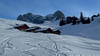 Bovonne - La Motte null