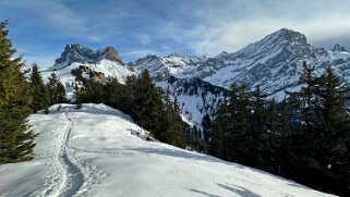 Bovonne - La Motte null