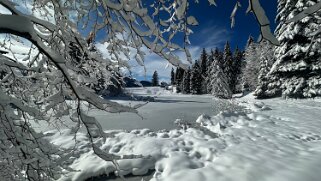 Lac des Joncs 1230 m - Tour de Corbetta null