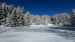Lac des Joncs 1230 m - Tour de Corbetta null