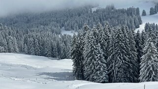 Tour de Corbetta null