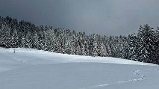 Tour de Corbetta null