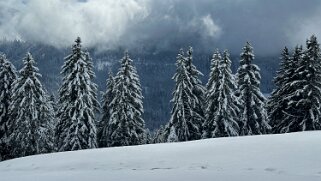 Tour de Corbetta null