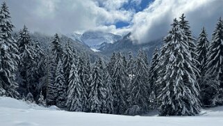 Tour de Corbetta null