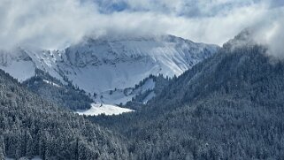Tour de Corbetta null