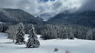 Tour de Corbetta null