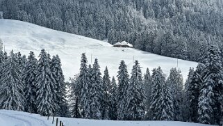 Tour de Corbetta null