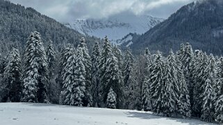 Tour de Corbetta null