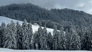 Tour de Corbetta null