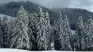 Tour de Corbetta null