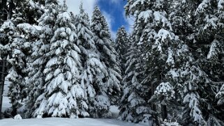 Tour de Corbetta null