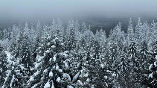 Col du Marchairuz - Cunay null