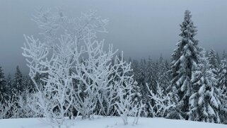 Col du Marchairuz - Cunay null