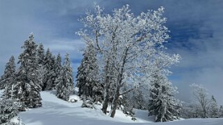 Col du Marchairuz - Cunay null