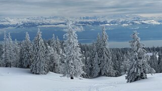 Col du Marchairuz - Cunay null