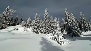 Col du Marchairuz - Cunay null