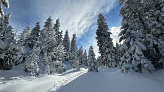 Col du Marchairuz - Cunay null