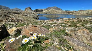 Lac Vert 2610 m null
