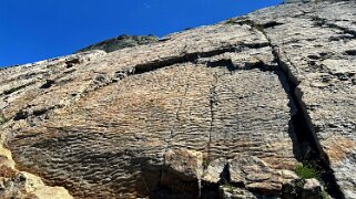 Empreintes d'archosaures null