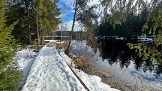 Etang de la Gruère 964 m null