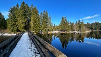Etang de la Gruère 964 m null