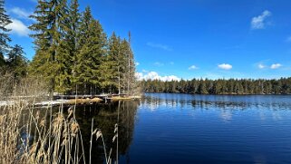 Etang de la Gruère 964 m null