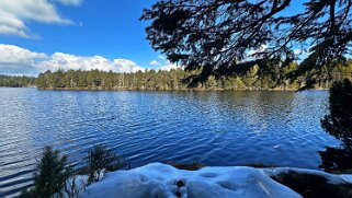 Etang de la Gruère 964 m null