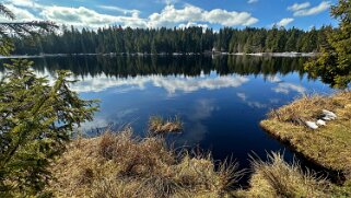 Etang de la Gruère 964 m null