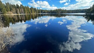 Etang de la Gruère 964 m null