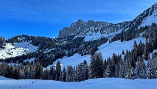 Petit-Mont - Gastlosen 2124 m null