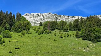 Grand Tour des Gastlosen et de la Dent de Savigny null