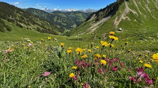 Grand Tour des Gastlosen et de la Dent de Savigny null