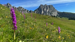 Grand Tour des Gastlosen et de la Dent de Savigny null