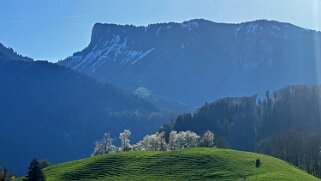 Sentier des fromageries - Gruyères null