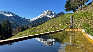 Sentier des fromageries - Gruyères null