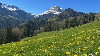 Sentier des fromageries - Gruyères null