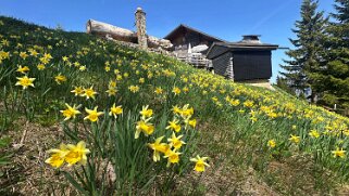 Cabane des Clés null
