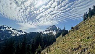 Sentier des fromageries - Gruyères null
